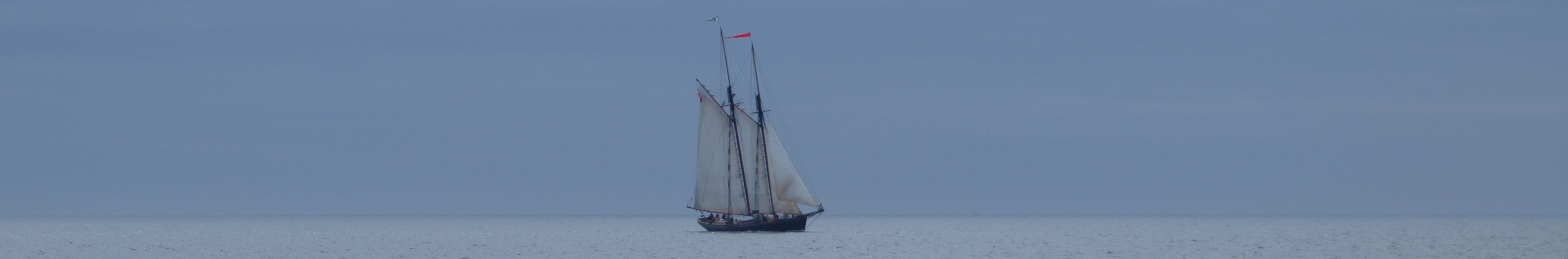 Pacific Grace